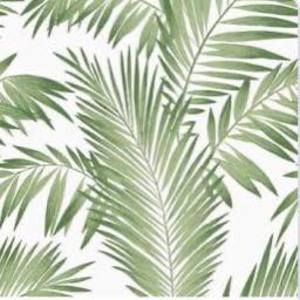 Meet your Posher, Cassy